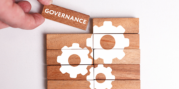 Corporate Governance Consulting Services