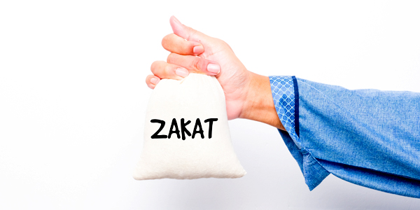 Zakat Declaration Services