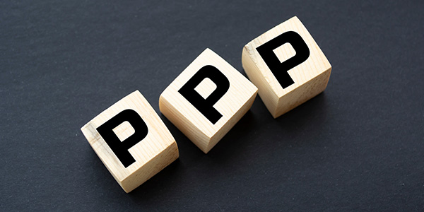 PPP Transaction Advisory Services