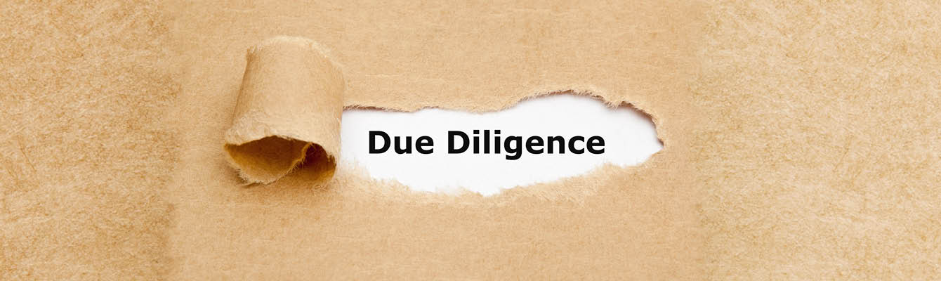 Financial Due Diligence Services