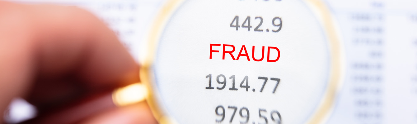 Fraud Examination Consulting Services