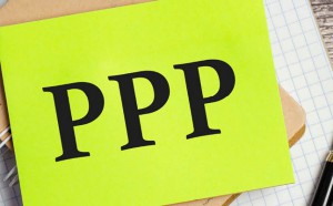 PPP Transaction Advisory Services